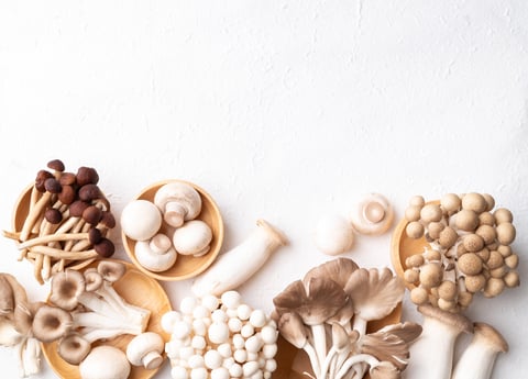 Fresh mushrooms on white background